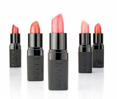 Lipstick - 16 colours Hot on Sale