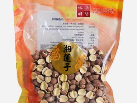 Yue Hwa Dried Lotus Seed (300g bag) Online Hot Sale